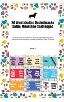 20 Westphalian Dachsbracke Selfie Milestone Challenges: Westphalian Dachsbracke Milestones for Memorable Moments, Socialization, Indoor & Outdoor Fun, Training Book 2