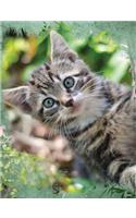 Cute Tabby Cat Composition Notebook, Blank Sketch Paper