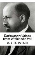 Darkwater: Voices from Within the Veil