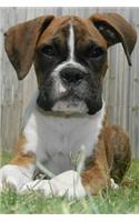 Serious Boxer Puppy Lined Journal: Canine Gift Notebook for Dog Lovers