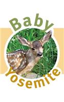 Baby Yosemite