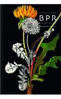 Birmingham Poetry Review