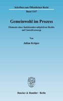 Gemeinwohl Im Prozess