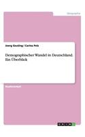 Demographischer Wandel in Deutschland. Ein Überblick