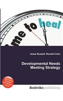 Developmental Needs Meeting Strategy