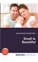 Small Is Beautiful