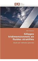 Sillages Tridimensionnels En Fluides Stratifiés