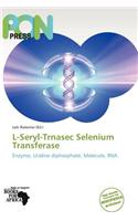 L-Seryl-Trnasec Selenium Transferase