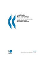 La S?Curit? Dans Les Tunnels: Transport De Marchandises Dangereuses Dans Les Tunnels Routiers