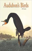 AUDUBONS BIRDS 2019 CALENDAR