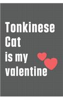 Tonkinese Cat is my valentine