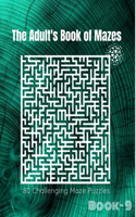 The Adult's Book Of Mazes