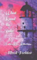 What Road to Take