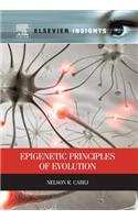 Epigenetic Principles of Evolution