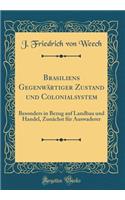Brasiliens GegenwÃ¤rtiger Zustand Und Colonialsystem: Besonders in Bezug Auf Landbau Und Handel, ZunÃ¤chst FÃ¼r Auswaderer (Classic Reprint)