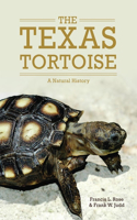 Texas Tortoise