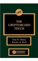 The Cryptorchid Testis