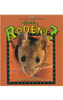 What is a Rodent?