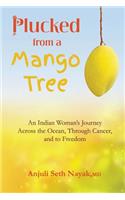 Plucked from a Mango Tree