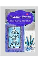 Adult Coloring Bible Study