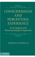 Consciousness and Perceptual Experience