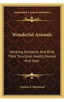 Wonderful Animals