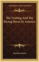 The Trotting and the Pacing Horse in America