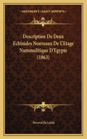 Description De Deux Echinides Nouveaux De L'Etage Nummulitique D'Egypte (1863)