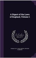 A Digest of the Laws of England, Volume 1