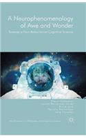 A Neurophenomenology of Awe and Wonder
