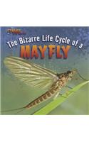 The Bizarre Life Cycle of a Mayfly: (Strange Life Cycles)
