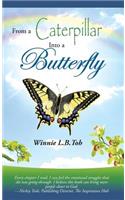 From a Caterpillar into a Butterfly