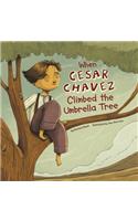 When Cesar Chavez Climbed the Umbrella Tree