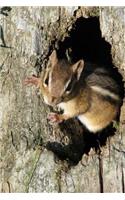 Chipmunk Checking You Out Journal