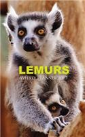 Lemurs Weekly Planner 2017: 16 Month Calendar