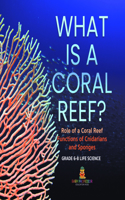 What Is a Coral Reef? Role of a Coral Reef Functions of Cnidarians and Sponges Grade 6-8 Life Science