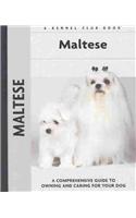 Maltese