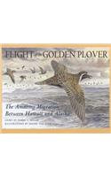 Flight of the Golden Plover