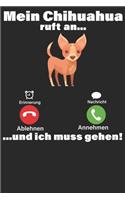 Hundeliebhaber Hund