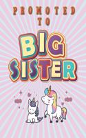 Promoted To Big Sister
