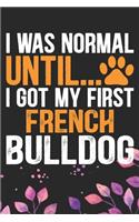 I Was Normal Until I Got My First French Bulldog