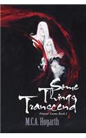 Some Things Transcend