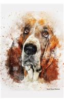 Basset Hound Notebook