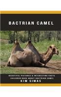 Bactrian Camel: Beautiful Pictures & Interesting Facts Children Book about Bactrian Camel