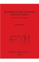 Mid - Upper Palaeolithic Transition in Iberia: Turning data into information