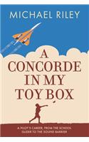 Concorde in my Toy Box