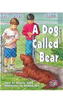 A Dog Called Bear