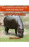 Hippopotamus