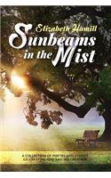 Sunbeams in the Mist