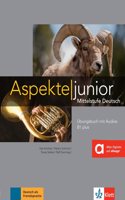 Aspekte junior